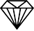 Premium Icon